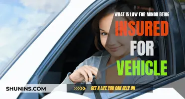 Minors: Insured to Drive?