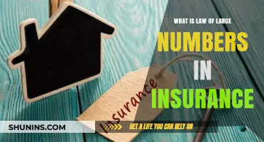 Understanding the Law of Large Numbers in Insurance Risk Management
