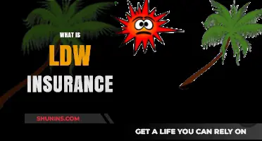 Understanding LDW Insurance: Coverage, Benefits, and When to Use It