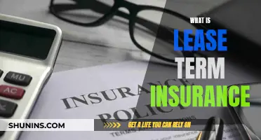 Lease Term Insurance: Understanding the Coverage and Benefits