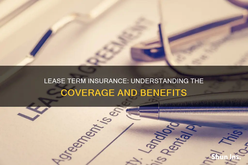 what is lease term insurance