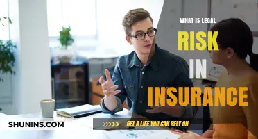 Understanding Legal Risks: Insurance and Liability