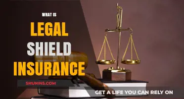 Shielding Your Rights: Understanding Legal Insurance