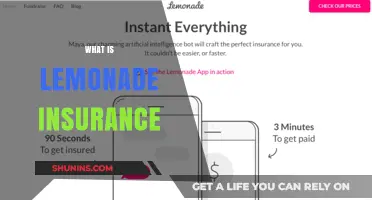 Understanding Lemonade Insurance: A Modern Approach to Coverage and Claims