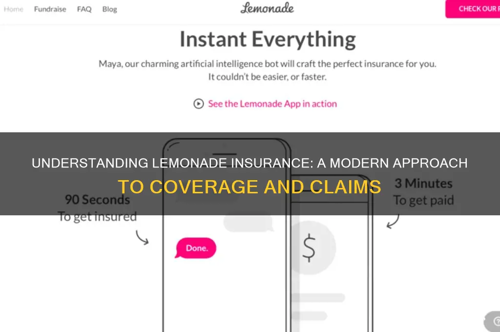 what is lemonade insurance