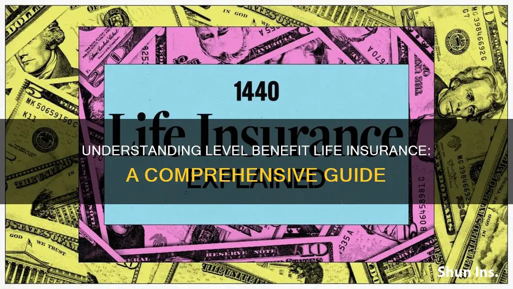 what is level benefit life insurance