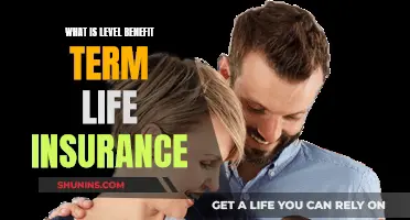 Understanding Level Benefit Term Life Insurance Policies