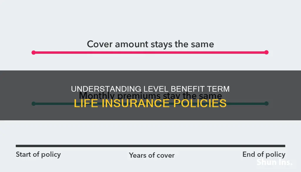 what is level benefit term life insurance