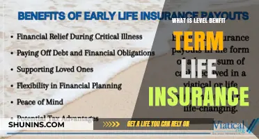 Understanding Level Benefit Term Life Insurance: A Comprehensive Guide