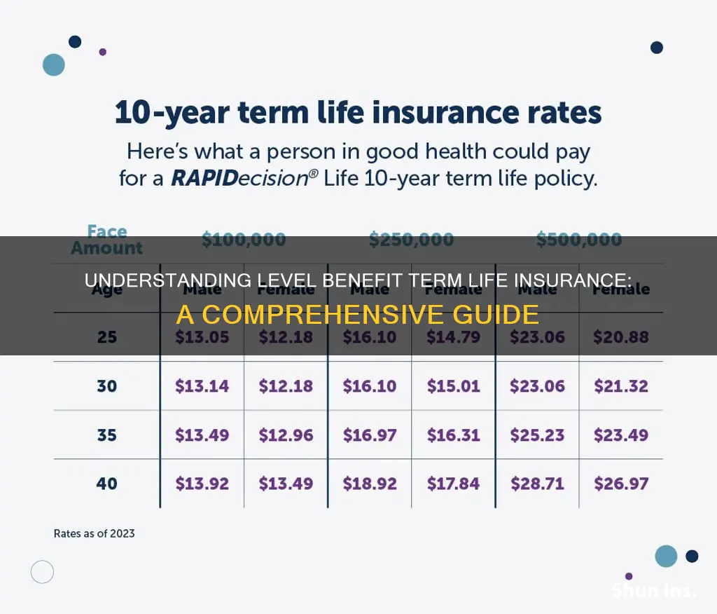 what is level benfit term life insurance