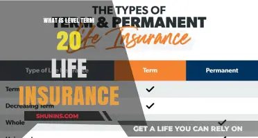 Understanding Level Term 20 Life Insurance: A Comprehensive Guide