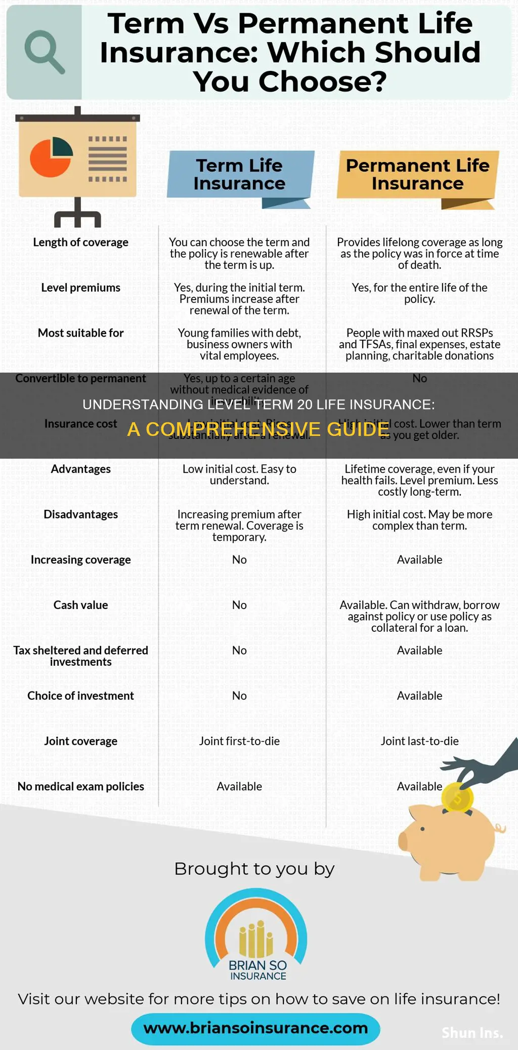 what is level term 20 life insurance