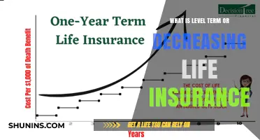 Understanding Level Term Life Insurance: A Comprehensive Guide