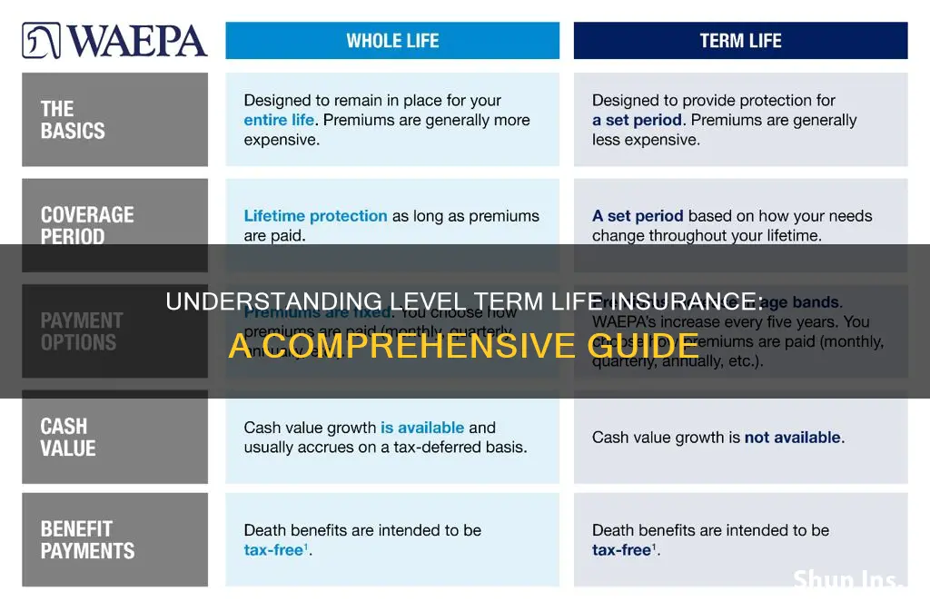 what is level term or decreasing life insurance