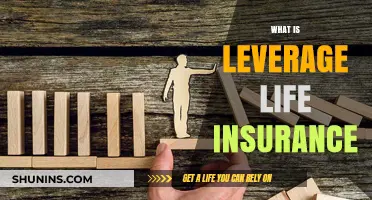 Leverage Life Insurance: Unlocking Financial Security and Legacy Building