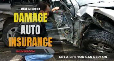 Understanding Liability Damage Auto Insurance Coverage