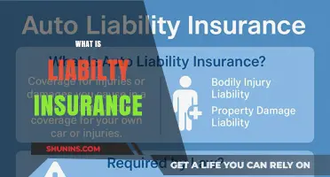 Liability Insurance: Protecting Your Assets and Peace of Mind