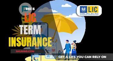 Unraveling the Intricacies of LIC Term Insurance: A Comprehensive Guide