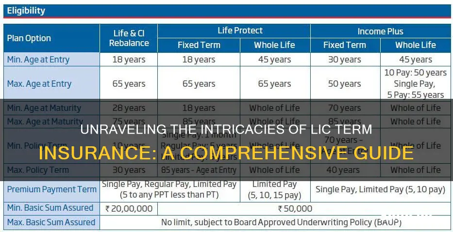 what is lic term insurance