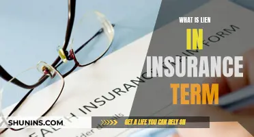 The Intricacies of Liens in Insurance: Understanding the Legal Hold