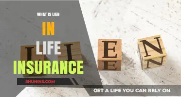 Understanding the Concept of Lien in Life Insurance