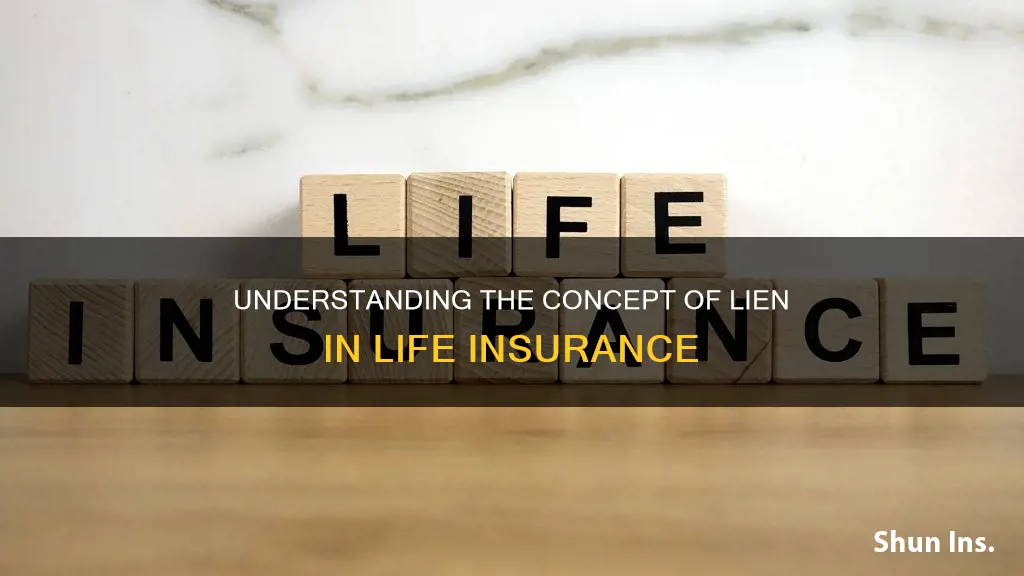 what is lien in life insurance