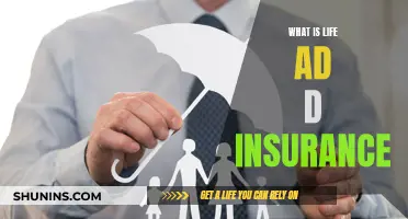 Life and Disability Insurance: Protecting Your Future