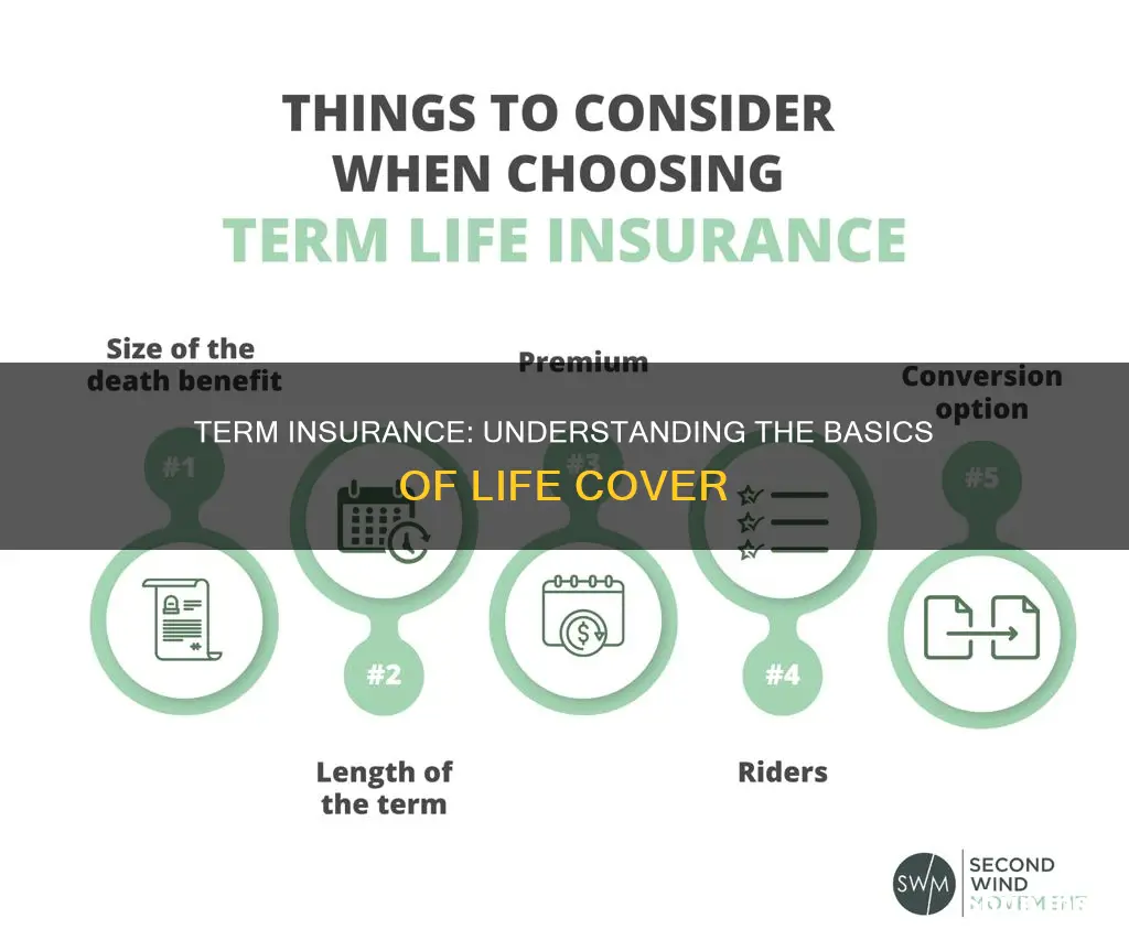 what is life cover in term insurance