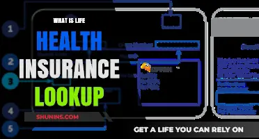 Understanding Life Health Insurance: A Comprehensive Lookup Guide