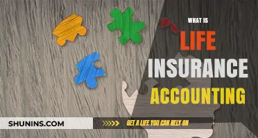 Understanding Life Insurance Accounting: A Comprehensive Guide