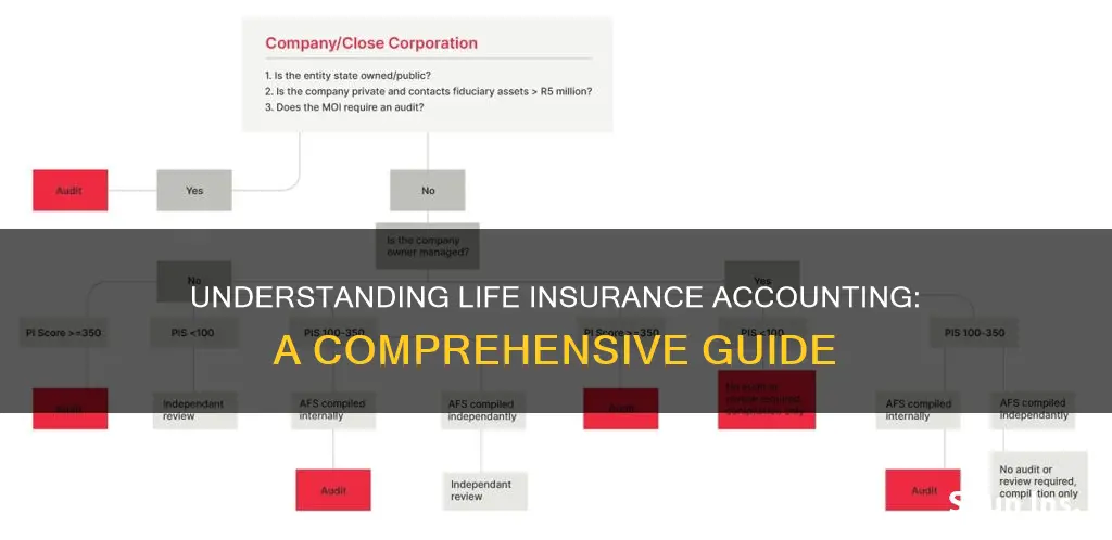 what is life insurance accounting