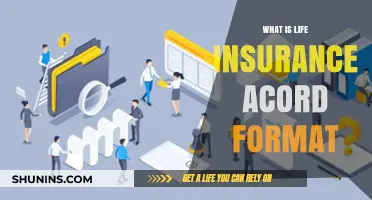 Understanding Life Insurance: The Accord Format Explained