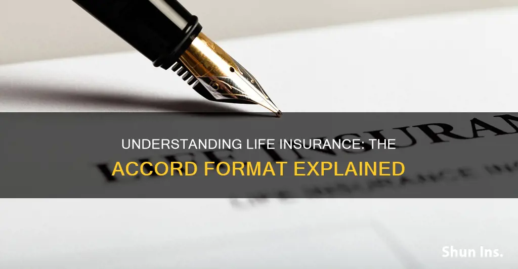 what is life insurance acord format