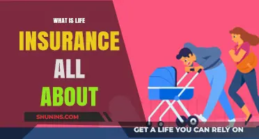 Understanding Life Insurance: A Comprehensive Guide to Your Financial Safety Net