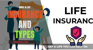 Life Insurance: Understanding the Basics and Varied Types