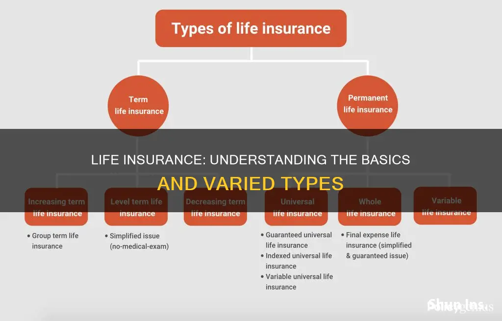 what is life insurance and types