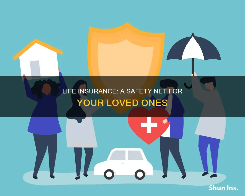 what is life insurance and who does it protect