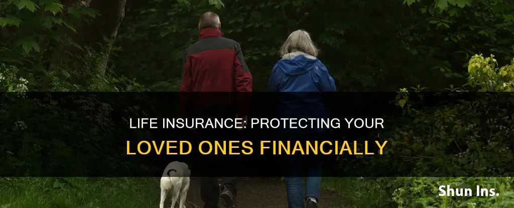 what is life insurance and who does it protect