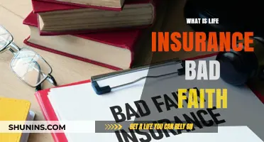 Unraveling the Consequences: Life Insurance Bad Faith Explained