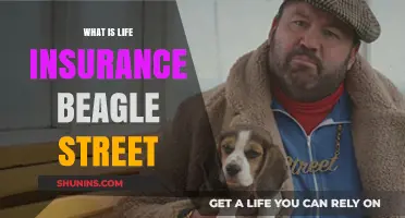 Beagle Street Life Insurance: Protecting Your Future, One Paw at a Time