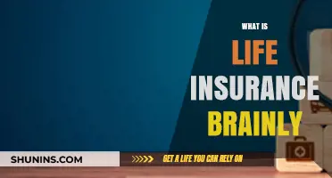 Life Insurance: Understanding the Basics and Benefits