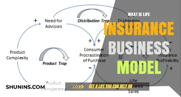 Understanding Life Insurance: A Comprehensive Business Model Overview