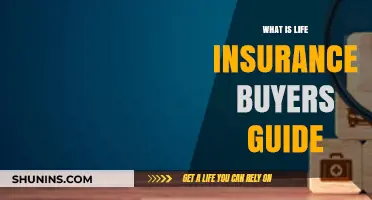 Life Insurance: A Comprehensive Buyer's Guide to Protect Your Future