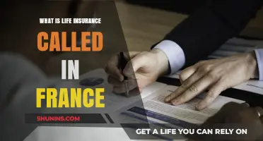 Life Insurance in France: Understanding the Term 'Assurance-Vie