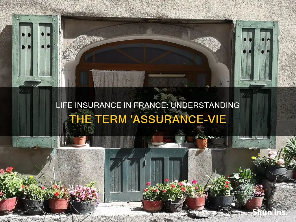 what is life insurance called in france