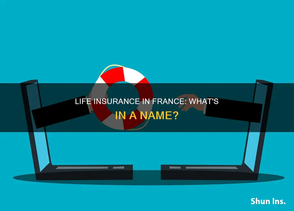 what is life insurance called in france