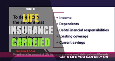 Understanding Life Insurance: A Comprehensive Guide to Carried Coverage