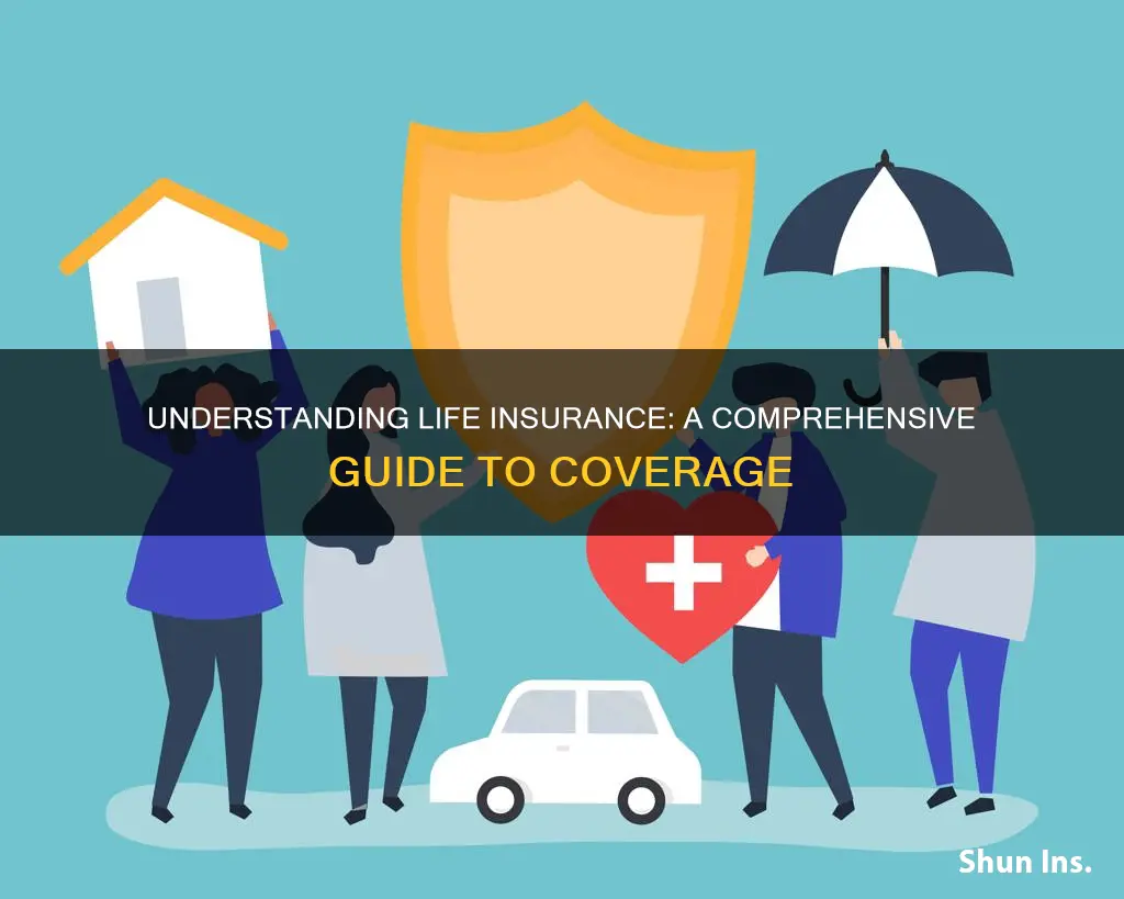 what is life insurance carried