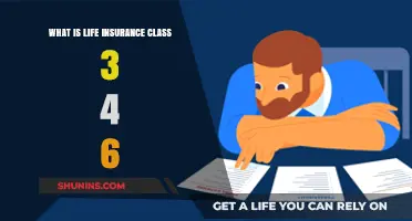 Life Insurance: Understanding the Importance of Classes 3, 4, and 6