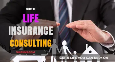 Understanding Life Insurance Consulting: Your Guide to Financial Security